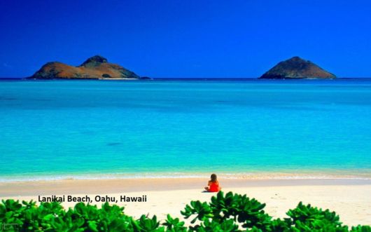 A Beautiful Trip To Hawaii