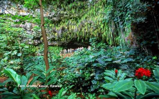 A Beautiful Trip To Hawaii