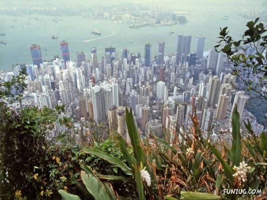 The Beautiful Pictures From Hong Kong