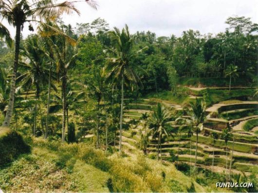 Mystical Bali Island, Indonesia