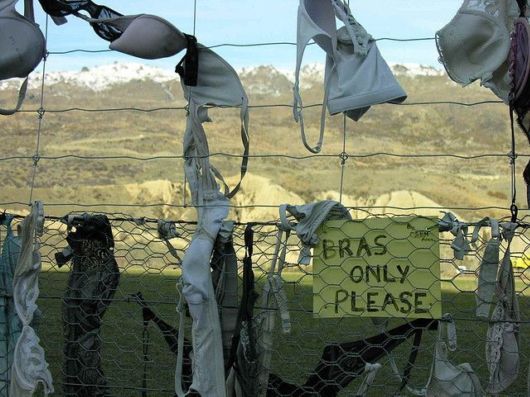 This Bra Fence Spurred Some Controversy