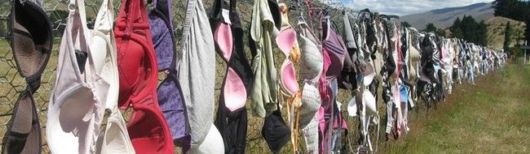 This Bra Fence Spurred Some Controversy