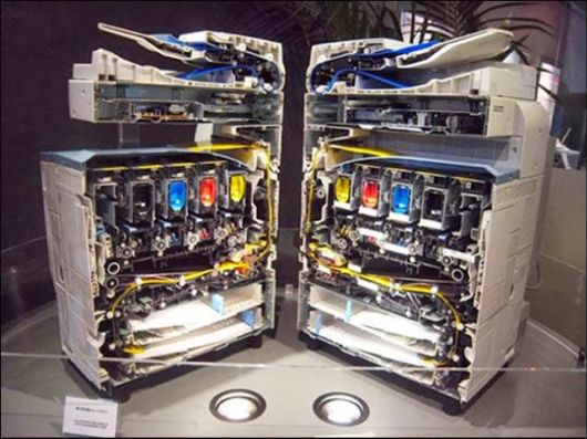 Interesting Things Dissected For Inside View