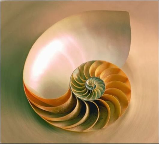 Interesting Things Dissected For Inside View