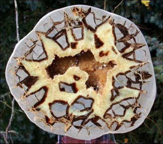 Interesting Things Dissected For Inside View