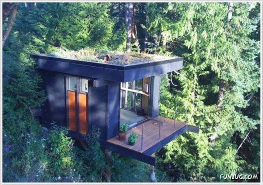 Most Unusual Dream Offices