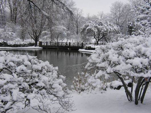 Beautiful Snow Wallpapers