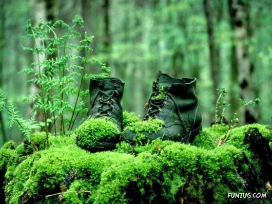 Click to Enlarge -Beautiful Mix Wallpapers Collection