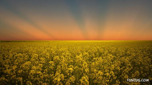 Click to Enlarge - Beautiful Nature Sceneries Wallpapers