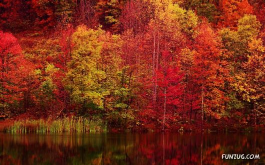 Click to Enlarge - Beautiful Nature Sceneries Wallpapers