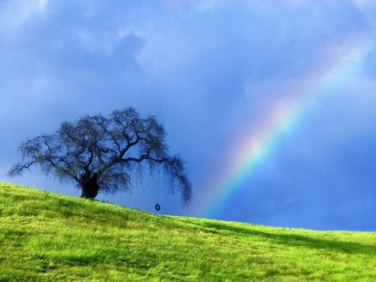 Click to Enlarge - Beautiful Rainbow Wallpapers