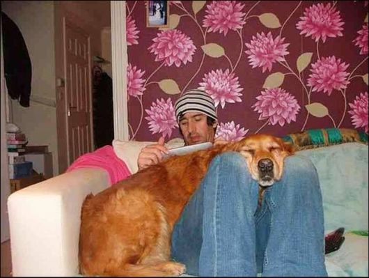 Good Pictures Of Dog Lovers