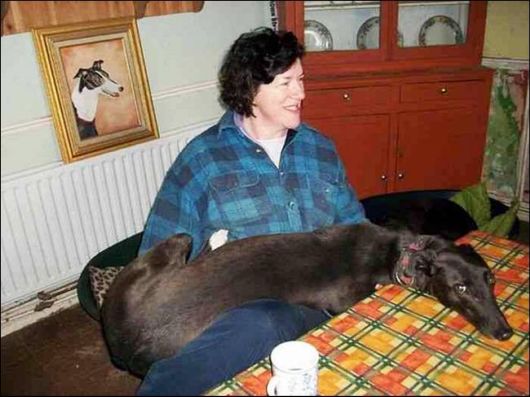 Good Pictures Of Dog Lovers