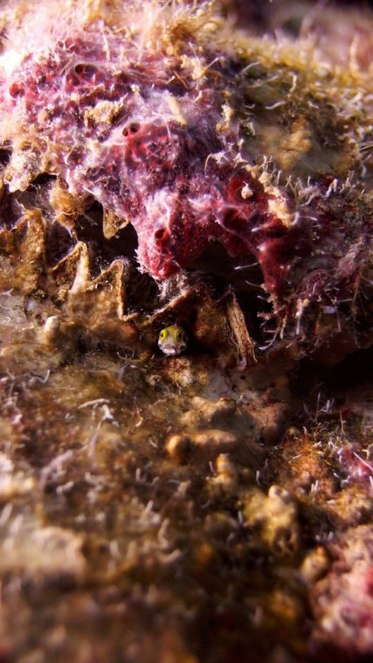 Amazing And Surreal Photos Of Animals In The Wild