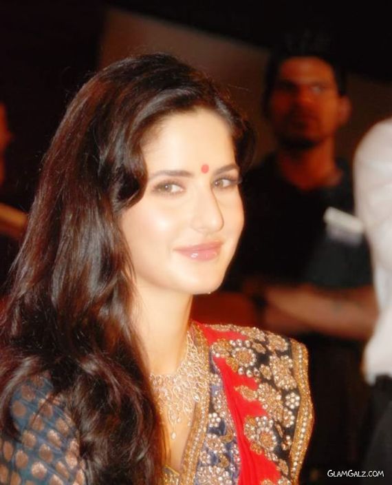 Gorgeous Katrina Kaif in Saree