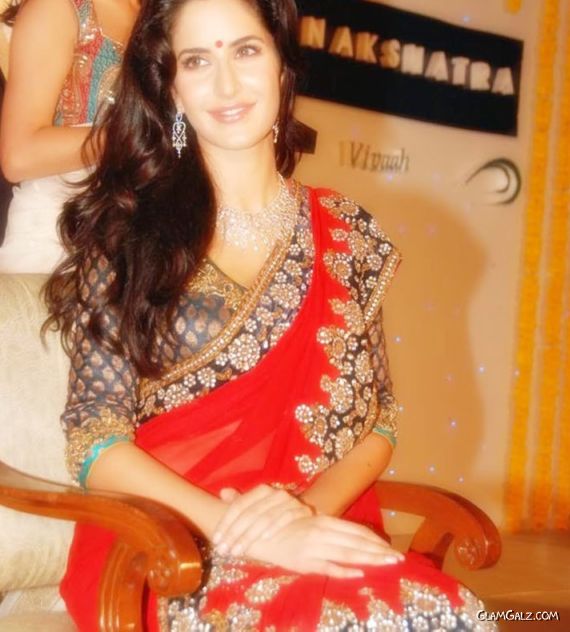 Gorgeous Katrina Kaif in Saree
