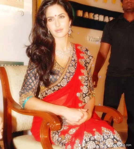 Gorgeous Katrina Kaif in Saree