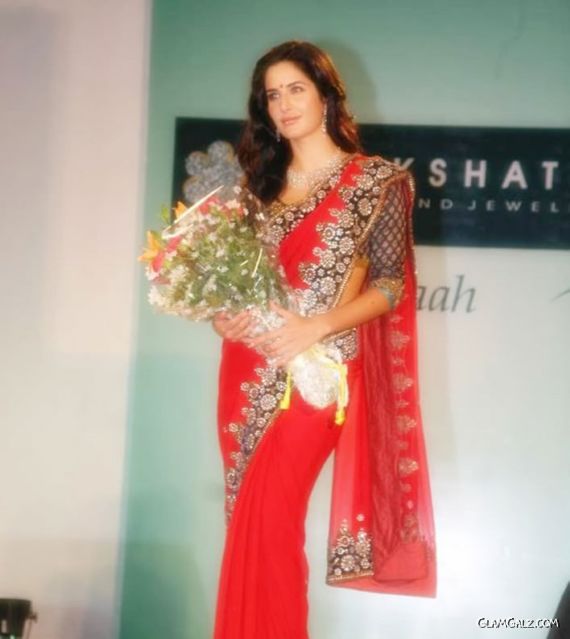 Gorgeous Katrina Kaif in Saree