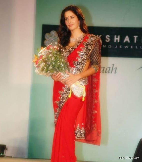 Gorgeous Katrina Kaif in Saree