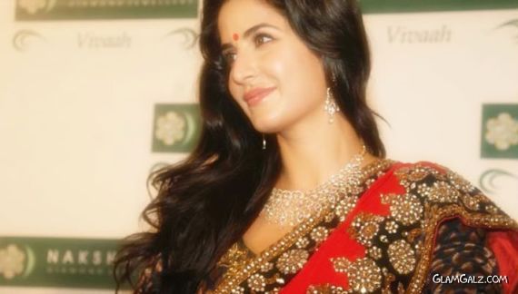 Gorgeous Katrina Kaif in Saree