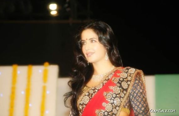 Gorgeous Katrina Kaif in Saree