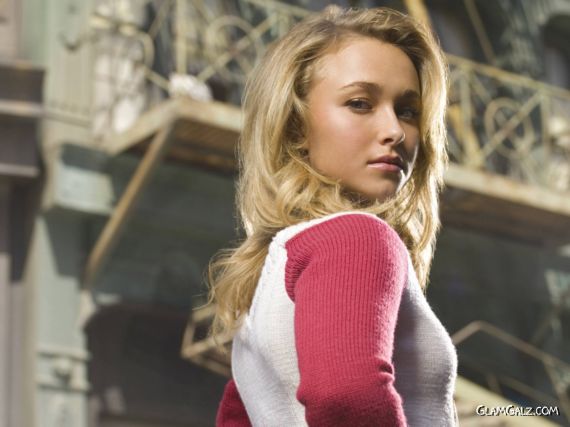 Click to Enlarge - Beautiful Hayden Panettiere Wallpapers